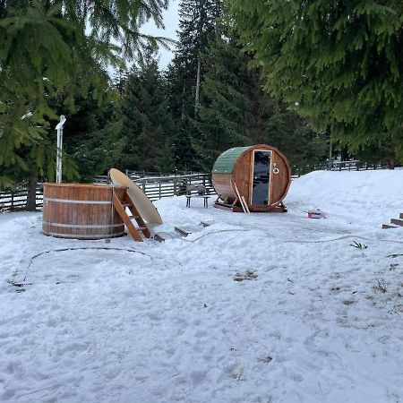 Hotel Floare De Colt Mînăstirea Humorului Extérieur photo
