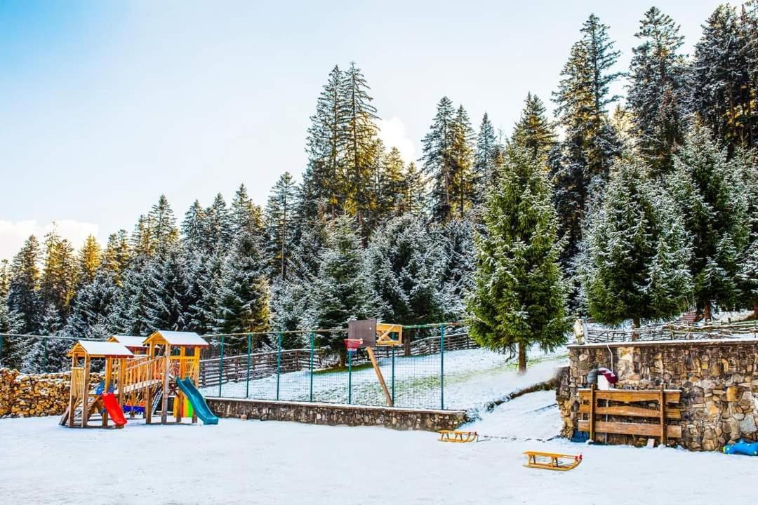 Hotel Floare De Colt Mînăstirea Humorului Extérieur photo