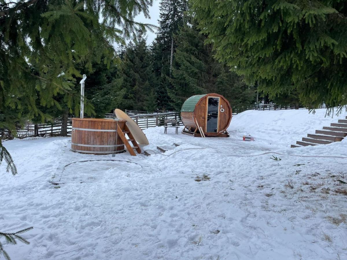 Hotel Floare De Colt Mînăstirea Humorului Extérieur photo