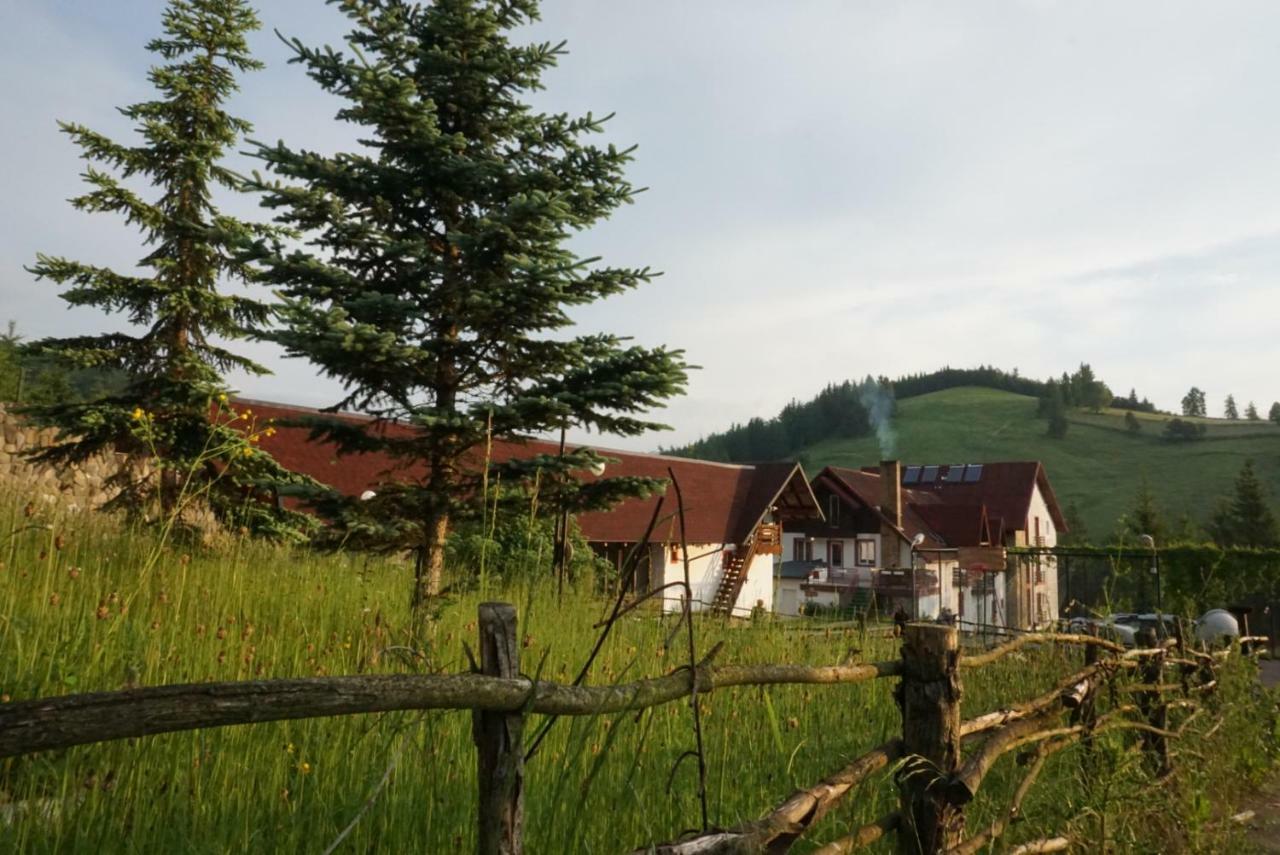 Hotel Floare De Colt Mînăstirea Humorului Extérieur photo