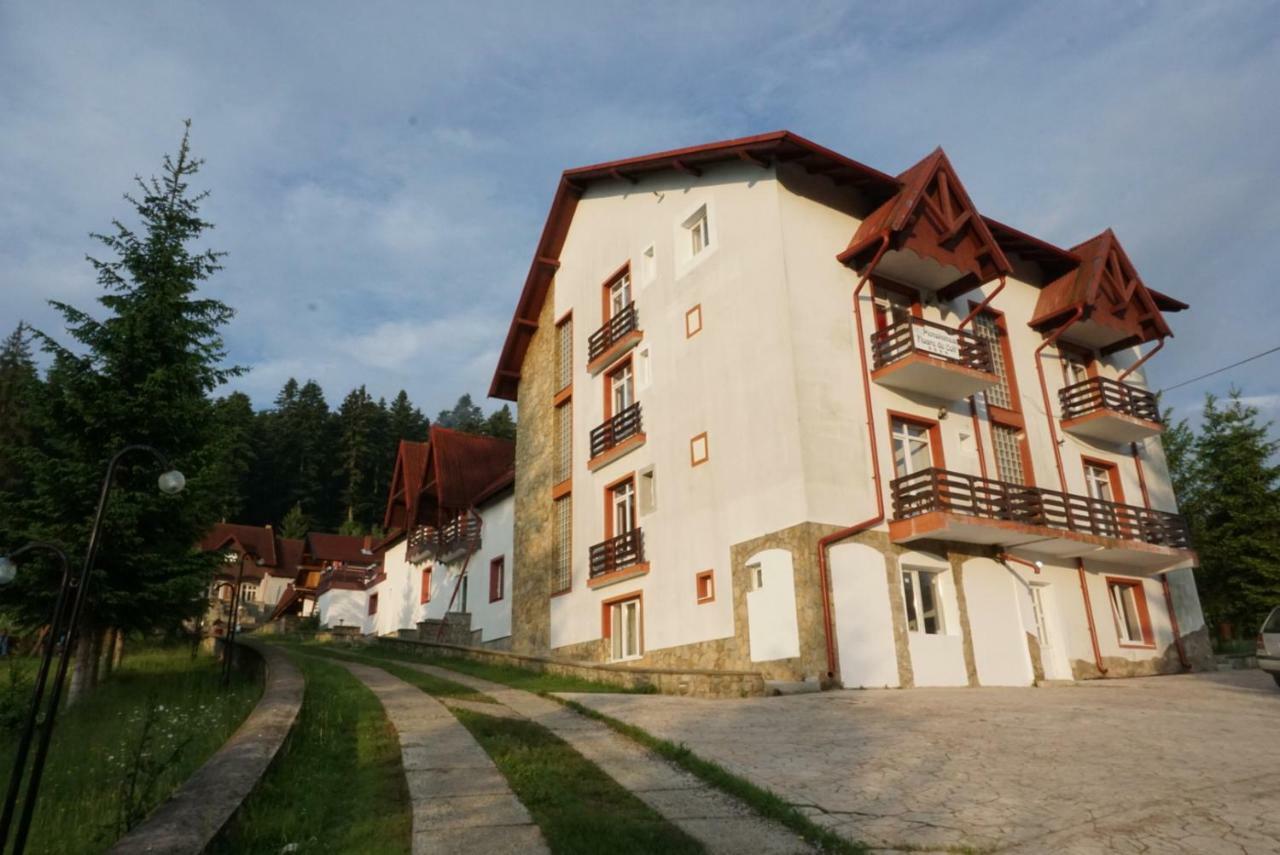 Hotel Floare De Colt Mînăstirea Humorului Extérieur photo