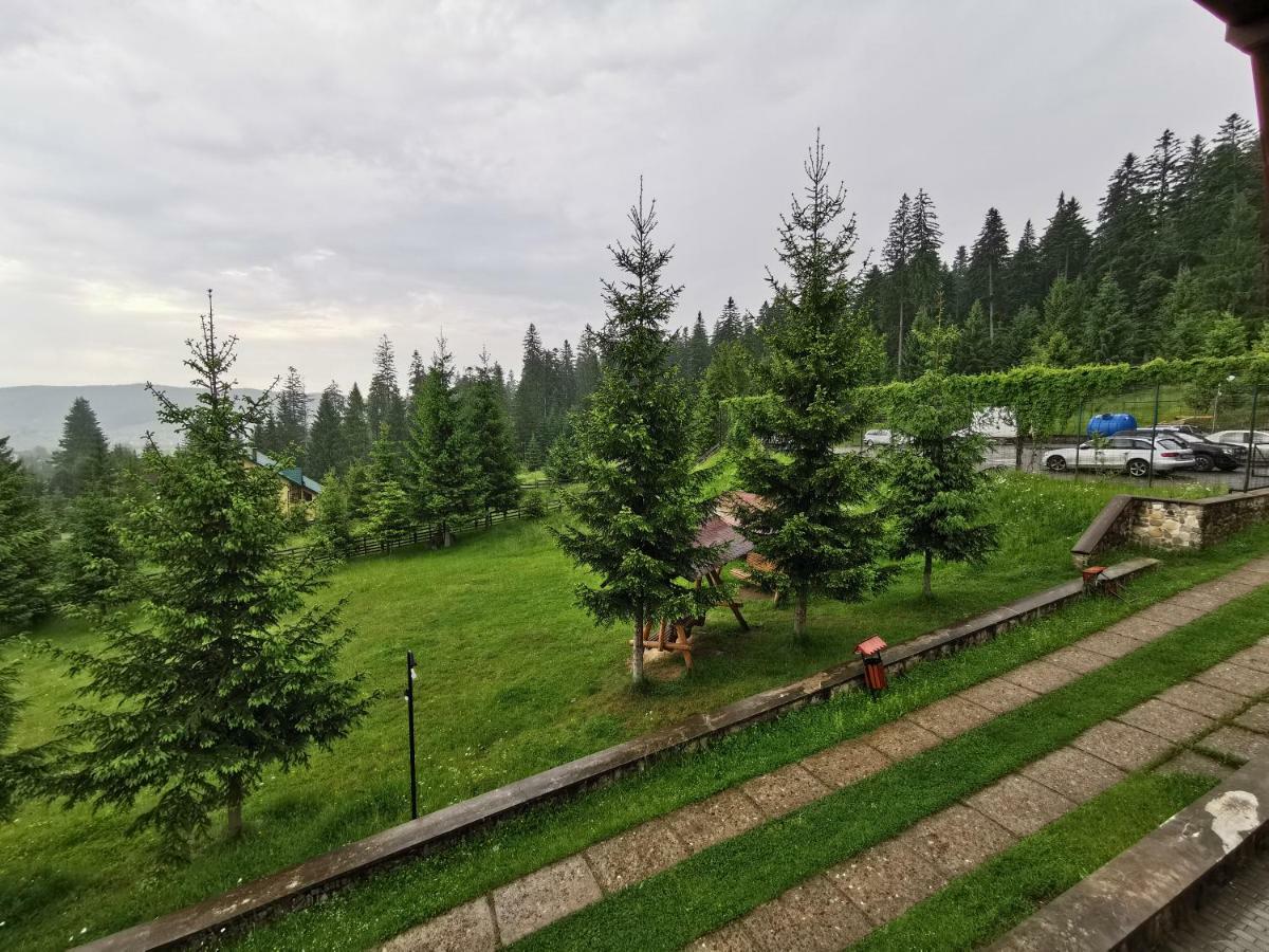 Hotel Floare De Colt Mînăstirea Humorului Extérieur photo