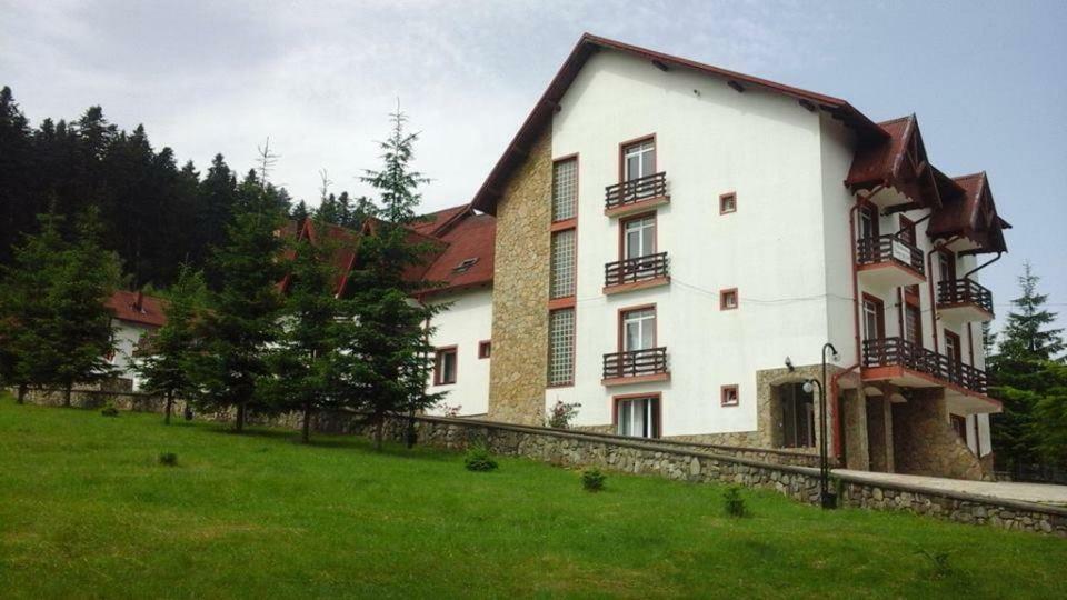 Hotel Floare De Colt Mînăstirea Humorului Extérieur photo