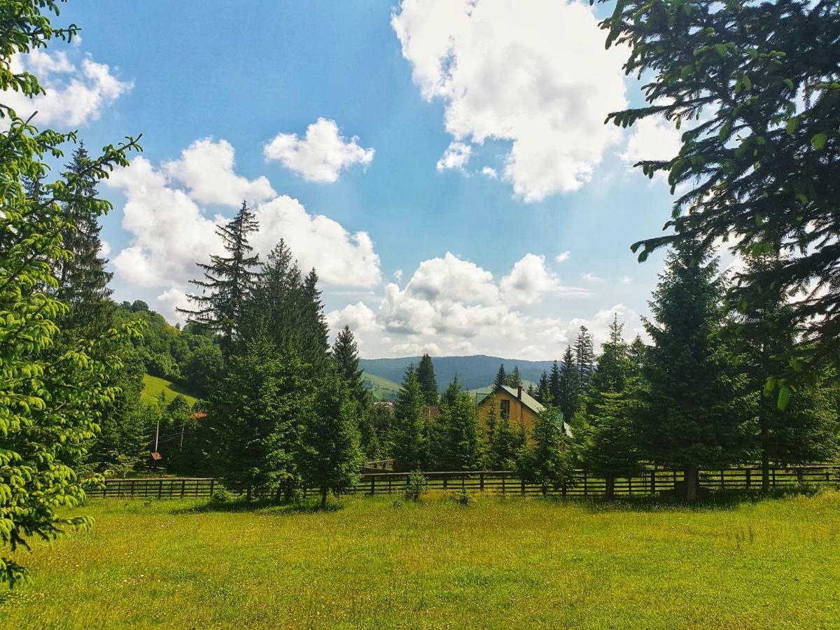 Hotel Floare De Colt Mînăstirea Humorului Extérieur photo